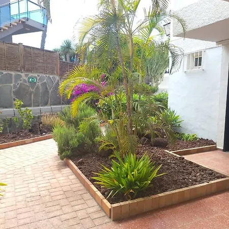 Lovers From In Sunny Gran Canaria Apartment